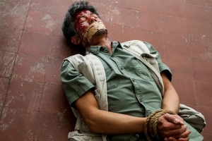 犯罪电影《踏血寻梅》解说文案-片源下载-电影解说文案网