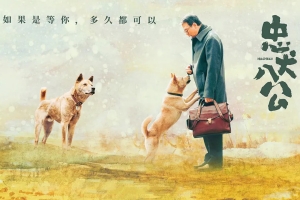 剧情电影《忠犬八公》解说文案-片源下载-电影解说文案网