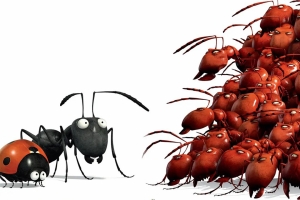 动漫电影《昆虫总动员》解说文案-片源下载-电影解说文案网