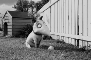 动漫电影《科学怪狗》解说文案-片源下载-电影解说文案网