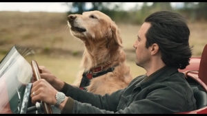 剧情电影《我在雨中等你》解说文案-片源下载-电影解说文案网
