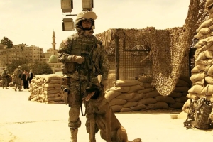 战争电影《节选修订》解说文案-片源下载-电影解说文案网