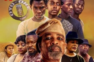 惊悚电影《钻石惹的祸》解说文案-片源下载-电影解说文案网